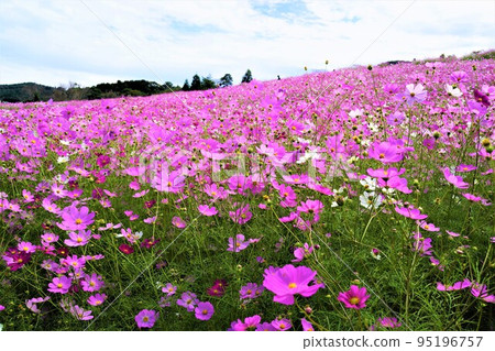 宇宙高原上市 宇宙高原上市 95196757