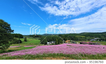 宇宙高原上市 宇宙高原上市 95196760