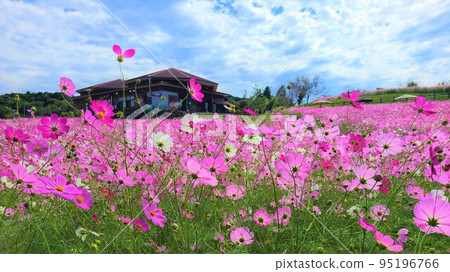 宇宙高原上市 宇宙高原上市 95196766