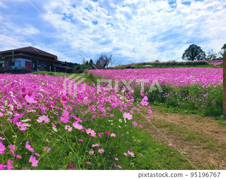宇宙高原上市 宇宙高原上市 95196767