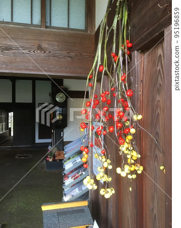 土樓柱子上的擺鐘和掛在駒之里古民居入口旁的花茄子 95196859