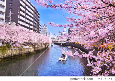 Ooka River with cherry blossoms in full bloom and a small boat seen from Sueyoshi Bridge in Naka Ward, Yokohama City in spring Ooka River with cherry blossoms in full bloom and a small boat seen from Sueyoshi Bridge in Naka Ward, Yokohama City in spring 95196963