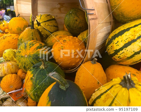 Halloween pumpkin Halloween pumpkin 95197109