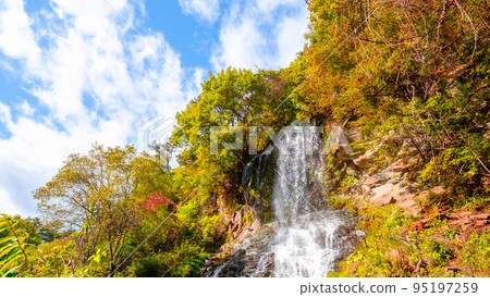 乙女瀑布(秋季) 乙女瀑布(秋季) 95197259