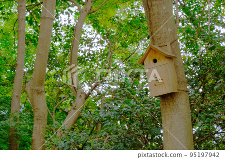 Nest boxes installed in the wild bird paradise "Gyotoku Suburban Green Space" 95197942