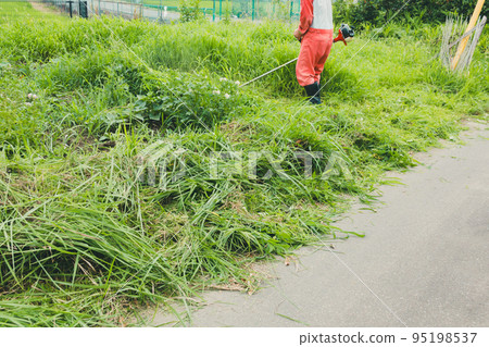 mowing, field, senior 95198537