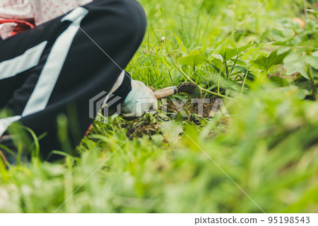 原野 田地 領域 95198543