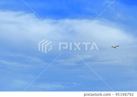 從豐中公園看到的飛機 95198792