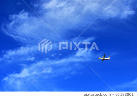 Airplane seen from Toyonaka Park 95198801
