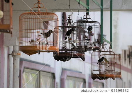 香港愛鳥人士的鳥園內出售的鳥籠。貴重物品超過 150,000 日元 (HK $10,000) 香港愛鳥人士的鳥園內出售的鳥籠。貴重物品超過 150,000 日元 (HK $10,000) 95199382