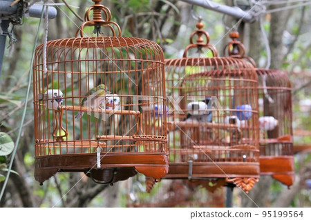 香港愛鳥人士的鳥園內出售的鳥籠。貴重物品超過150,000 日元(HK
