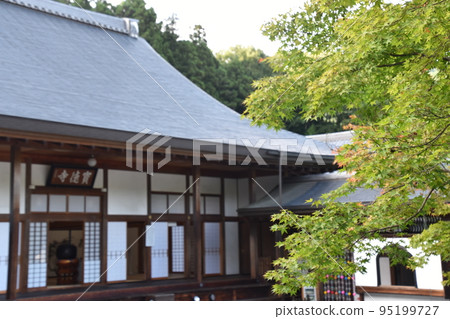 Hotokuji Temple and green autumn leaves Hotokuji Temple and green autumn leaves 95199727
