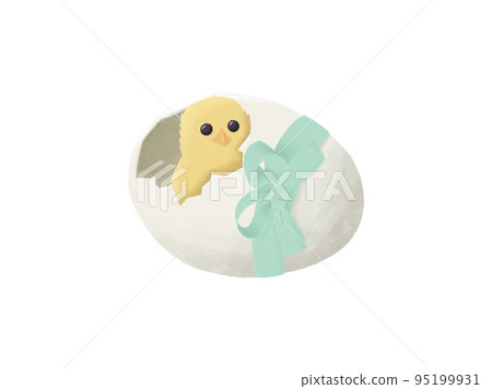 Little chicken in cracked egg. Cartoon hand-drawn illustration Little chicken in cracked egg. Cartoon hand-drawn illustration 95199931