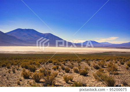 Breathtaking views of the Altiplano plains Breathtaking views of the Altiplano plains 95200075