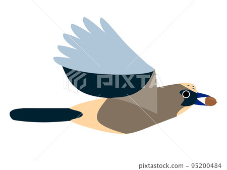 嘴裡叼著橡子飛翔的鳥 95200484