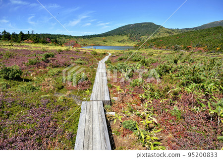 福島縣秋天的淨土平鹿沼徒步旅行 福島縣秋天的淨土平鹿沼徒步旅行 95200833
