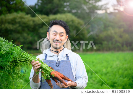 一個在胡蘿蔔地裡耕作的人 95200859