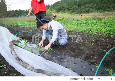 Image of a farmer wide angle 95200884