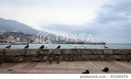 Winter sea in Yalta, seagulls sitting on the embankment, mountain and city views. Front view. 95200976