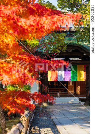 京都東山秋天的知足院禮堂 95202853