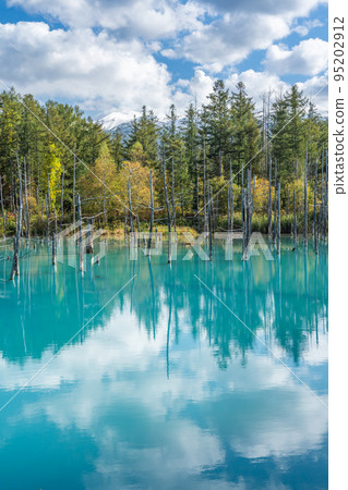 [北海道的秋天]晴天的藍色池塘 95202912