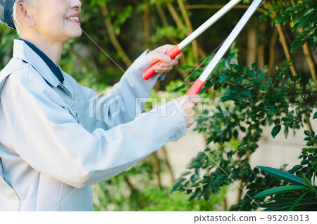 Senior female worker pruning garden trees Senior female worker pruning garden trees 95203013