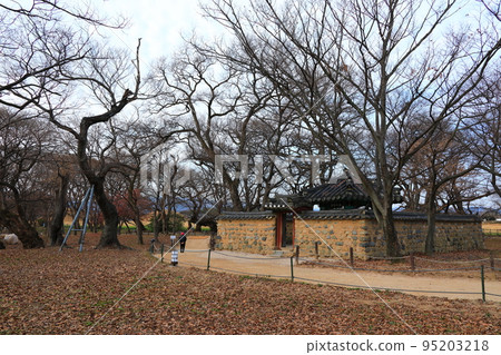 Gyeongju Gyerim, Guilin, 森林, 保護, Gyeongju, 歷史, 文化, 老樹, 樹木, 95203218