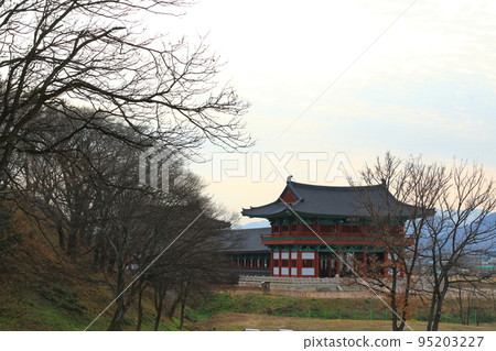 Gyeongju Gyerim, Guilin, 森林, 保護, Gyeongju, 歷史, 文化, 老樹, 樹木, 95203227