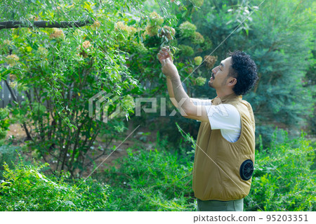 庭院工扇背心男 庭院工扇背心男 95203351