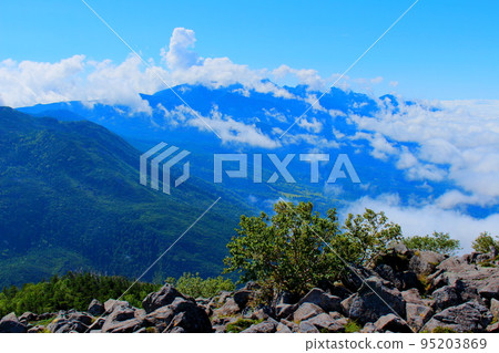 八月蓼科山的自然風光 95203869
