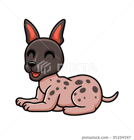 Cute american hairless terrier cartoon Cute american hairless terrier cartoon 95204597