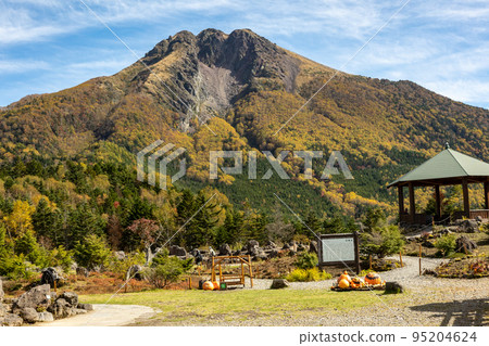 Marunuma Kogen Rock Garden and Mt. Nikko-Shirane in Autumn 95204624