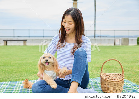 Woman playing with dog in park Woman playing with dog in park 95204982