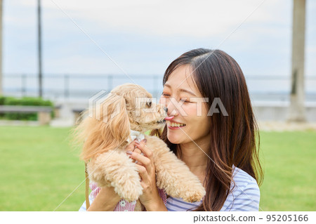 Woman playing with dog in park 95205166