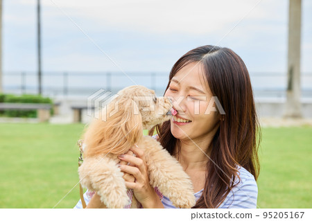 Woman playing with dog in park Woman playing with dog in park 95205167