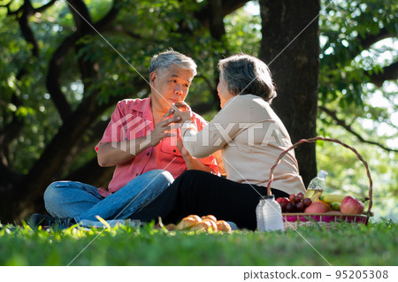 Happy old elderly couple spouses relaxing and sitting on a blanket in the park and sharing few precious memories. Senior couple having great time together on a picnic. concept of mature relationships Happy old elderly couple spouses relaxing and sitting on a blanket in the park and sharing few precious memories. Senior couple having great time together on a picnic. concept of mature relationships 95205308