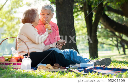 Happy old elderly couple spouses relaxing and sitting on a blanket in the park and sharing few precious memories. Senior couple having great time together on a picnic. concept of mature relationships 95205309