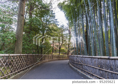 Passage sandwiched between Ryoanji-gaki and Sasagaki [Kansen-ji Temple of the Imagawa clan's family temple] / Suginami-ku, Tokyo 95205621