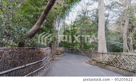 Passage sandwiched between Ryoanji-gaki and Sasagaki [Kansen-ji Temple of the Imagawa clan's family temple] / Suginami-ku, Tokyo 95205622
