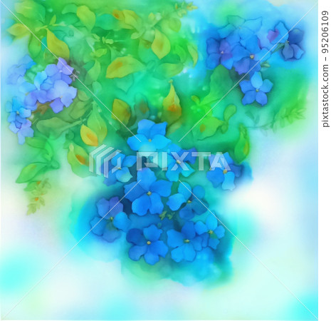 Bright blue, small-flowered herb that grows in the garden Bright blue, small-flowered herb that grows in the garden 95206109