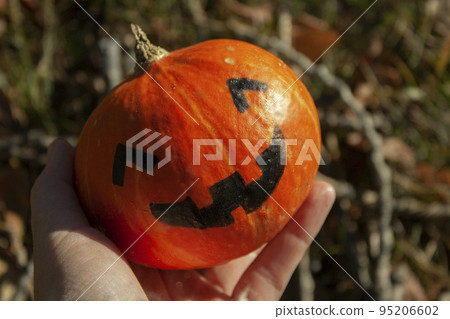 Carved halloween pumpkins on Farmer's market. Many large Halloween 'Ghostride' pumpkins. Scary Jack O Lantern. Orange pumpkin head jack lantern. 95206602