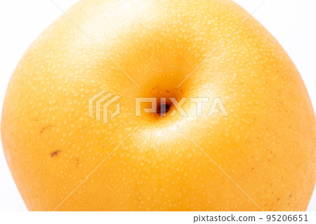 A close-up of the bottom side (lower side) of a pear (Hosui). (white background) 95206651