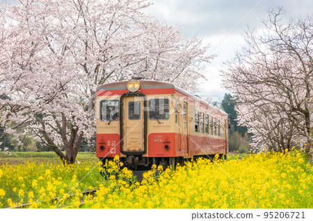 Isumi 鐵路 Soumoto 站 Nanohana 和 Sakura 合作 Kiha 20 95206721