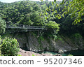 tree pose on suspension bridge 95207346