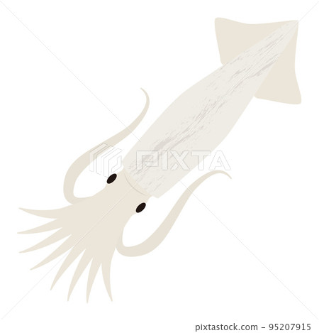 魷魚的插圖 95207915