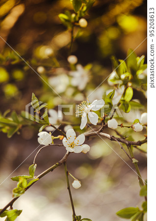 Blossom Support Greeting Card Blossom Support Greeting Card
