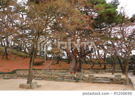 慶州佛國寺, 寺廟, 佛教, 和尚, 多寶塔, 佛國寶塔, 石塔, 韓屋, 95208699