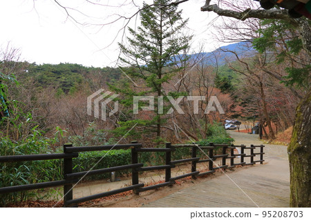 慶州佛國寺, 寺廟, 佛教, 和尚, 多寶塔, 佛國寶塔, 石塔, 韓屋, 95208703