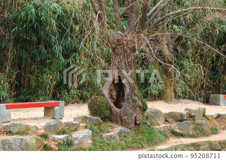 慶州佛國寺, 寺廟, 佛教, 和尚, 多寶塔, 佛國寶塔, 石塔, 韓屋, 95208711