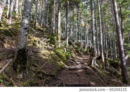 Marunuma Kogen Hiking Course Marunuma Kogen Hiking Course 95209135